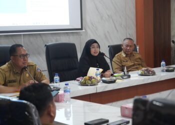 Festival Literasi Sumsel 2025, Pemkab OKU Timur, Tampilkan Sektor Budaya Dan Kearifan Lokal