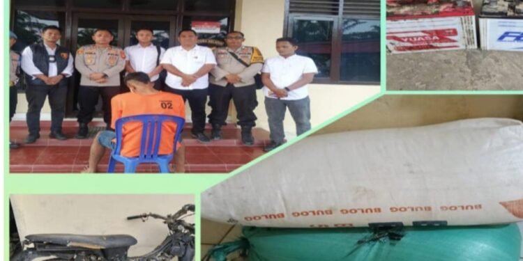 Apes Edi Maling Beras 100 KG Terpantau Istri Korban