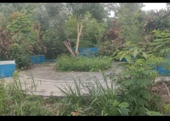 Awas …. ! Ada Taman Hantu Dekat Kantor  Bupati OKU Timur