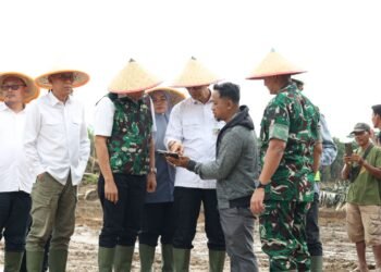 Bupati Enos Dampingi Kunjungan Kerja Staf Ahli Menteri Pertanian