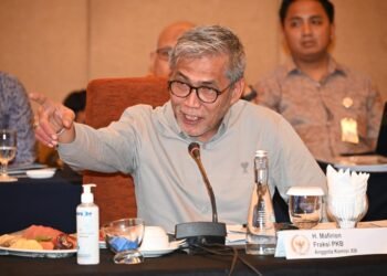 Indonesia Pimpin Dewan HAM PBB, Mafirion: Momentum Perkuat Kepemimpinan Global