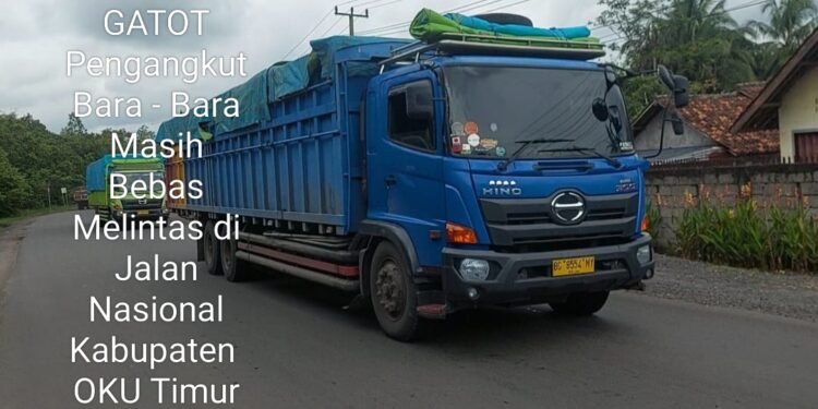 GATOT,Pengangkut Bara – Bara Masih Bebas Melintas di Jalan Nasional Kabupaten  OKU Timur