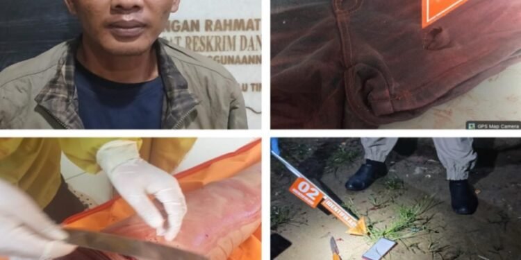 Pelaku Pembunuh Wanita Asal Lampung, Diringkus SATRESKRIM POLRES OKU TIMUR, Tampa Perlawanan