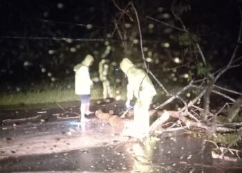 AKP Zulkpli Turun Tangan Bersihkan Pohon Tumbang Usai Dihantam Hujan Deras