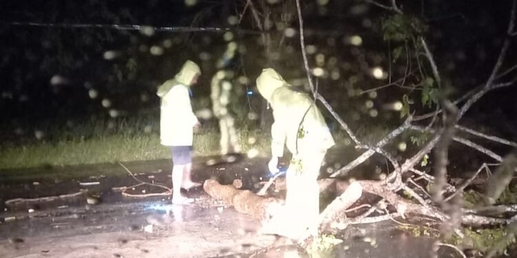 AKP Zulkpli Turun Tangan Bersihkan Pohon Tumbang Usai Dihantam Hujan Deras