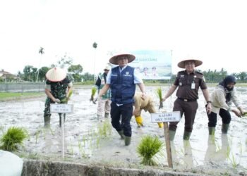 Gertam Digencarkan, OKU Timur Bidik 1 Juta Ton Gabah Tahun 2026