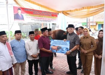 Enos Pantau Bantuan Sapi Kurban Presiden di Masjid Al-Azhar Cidawang