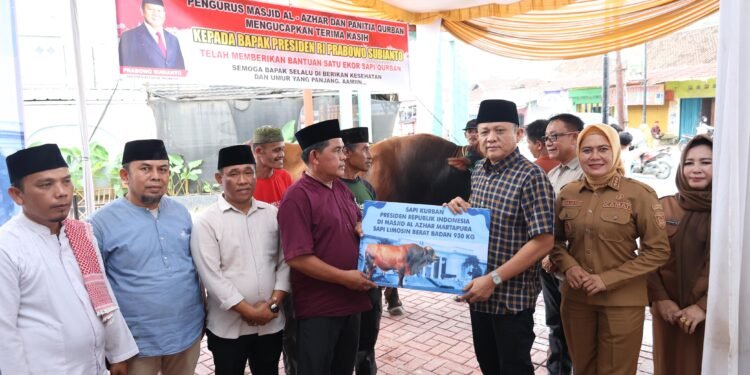 Enos Pantau Bantuan Sapi Kurban Presiden di Masjid Al-Azhar Cidawang