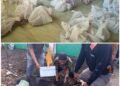 Panitia Kurban Masjid Baitul Makmur Salurkan 412 Kupon Daging untuk Warga