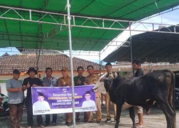 Masjid Baitul Makmur Terima Bantuan Sapi Kurban dari Bupati OKU Timur