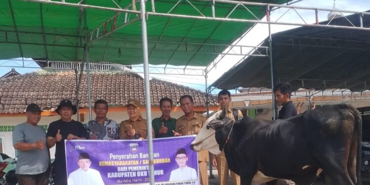 Masjid Baitul Makmur Terima Bantuan Sapi Kurban dari Bupati OKU Timur