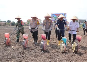 Kapolres OKU Timur Adik Listiyono Pimpin Gerakan Tanam Jagung