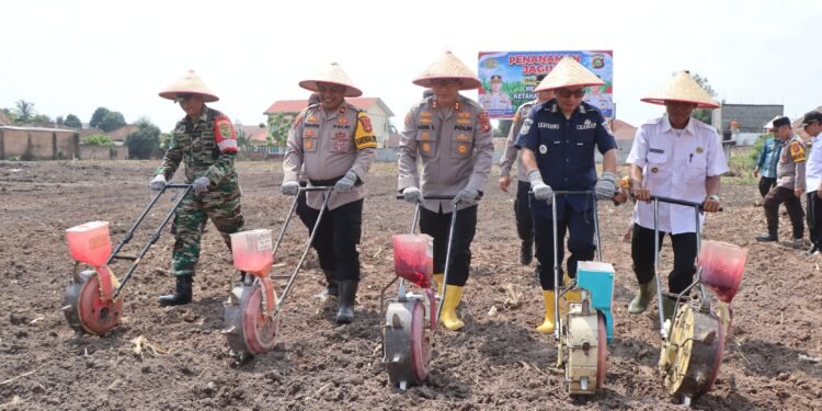 Kapolres OKU Timur Adik Listiyono Pimpin Gerakan Tanam Jagung