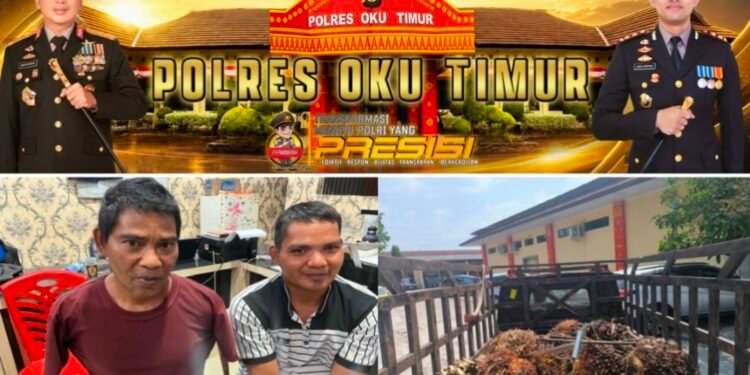 Sempat Bacok Security, Dua Pelaku Pencurian Sawit Akhirnya Masuk Hotel Prodeo